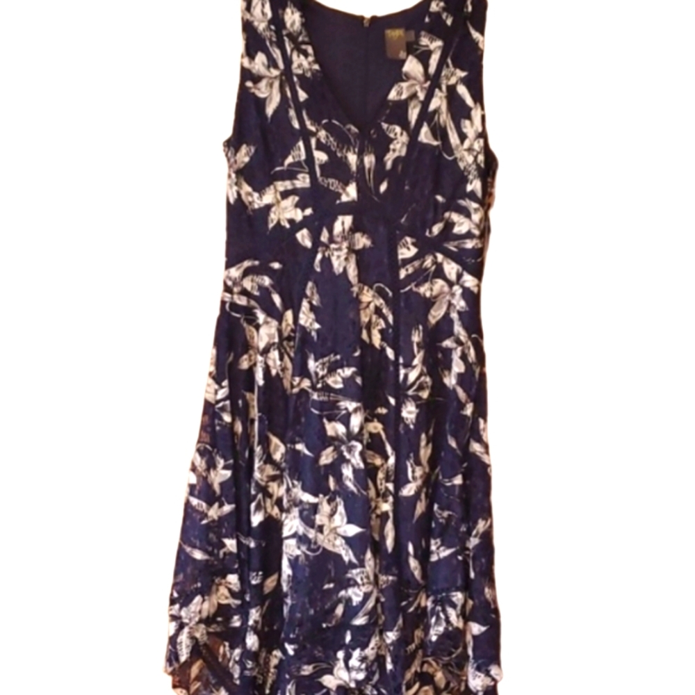 Taylor NWT Womans Navy Floral Lace Sleeveless Cocktail Dress Size 14
